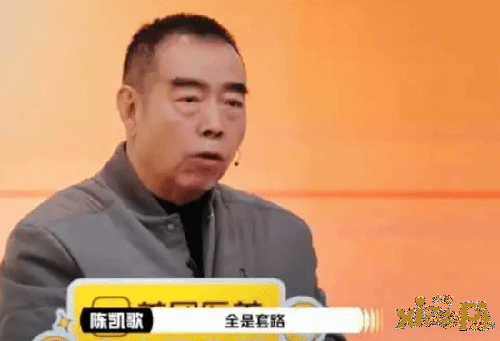 陈凯歌辣评杨子演技：太假了 全是套路